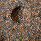 Royal Golden Buds – Gong Ting Jin Ya Shu Pu-Erh Teekuchen (2014)