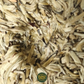 Bai Hao Yin Zhen – Silver Needle Weißtee (2023)