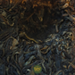 Gao Shan Yun – Hochland Sheng Pu-Erh (2022)